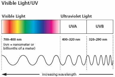 uv a and uv b radiation